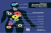 México: Anatomía de la Corrupción (libro)