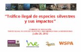 “Tráfico ilegal de especies silvestres y sus impactos”