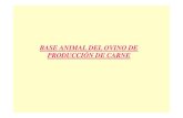 BASE ANIMAL DEL OVINO DE PRODUCCIÓN DE CARNE