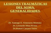 Lesiones Traumáticas del SOMA. Generalidades.
