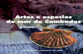 Artes e especies do mar de Cambados