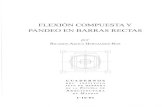 FLEXIÓN COMPUESTA Y PANDEO EN BARRAS RECTAS
