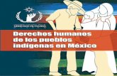 Cartilla: Derechos Humanos de los Pueblos Indígenas en México