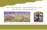 El recurso micológico en el País Románico