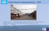 Mold town presentation