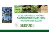 Próspero Yance, Coordinador Forestal y de Fauna Silvestre ...