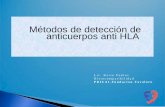 Métodos de detección de anticuerpos anti HLA