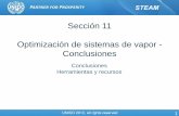 Sección 11 Optimización de sistemas de vapor - Conclusiones