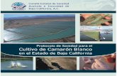 Comité Estatal de Sanidad Acuícola e Inocuidad de Baja California AC