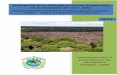 estimación de la deforestación no planificada en el escenario de ...