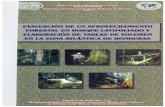 Evaluación de un Aprovechamiento Forestal en Bosque Latifoliado ...