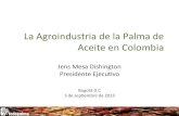 La Agroindustria de la Palma de Aceite en Colombia