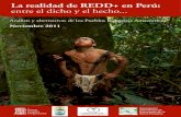 La realidad de REDD+ en Perú: entre el dicho y el hecho...