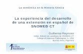 La experiencia del desarrollo de una extensión en español de ...