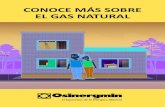 Folleto gas natural