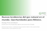 Nuevas tendencias del gas natural en el mundo. Oportunidades ...