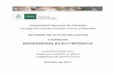 Informe de Autoevaluación Ingeniería Electrónica