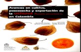 Avances en cultivo, poscosecha y exportaci6n de en Colombia
