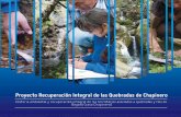 Proyecto Recuperación Integral de las Quebradas de Chapinero