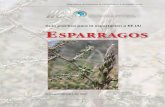 Guía Práctica para la Exportación de ESPARRAGO a los Estados ...