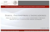 Perfil, Parámetros e Indicadores para el Ingreso a las Funciones ...