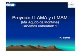 Proyecto LLAMA y el MAM