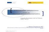 Programa Operativo español 2007-2013