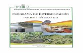 PROGRAMA DE DIVERSIFICACION INFORME TECNICO 2012