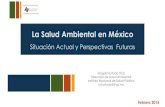 La Salud Ambiental en México