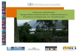 Informe Nacional: Seguridad Alimentaria y Nutricional y Pueblos ...