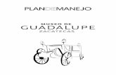 MGZ plan Museo Guadalupe