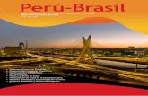 • Panorama Comercial Brasileño • Panorama del Comercio Brasil ...