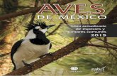 Nombres comunes de las aves de México