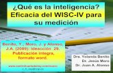 ¿Qué es la inteligencia? Eficacia del WISC-IV para su medición