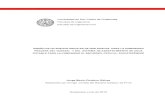 tesis final JUNIO - pdf