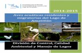 Informe de Aves acuáticas 2014-2015