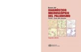 Bases del diagnóstico microscópico del paludismo – 2ª ed. Guía del ...