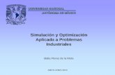 Simulación y Optimización Aplicada a Problemas Industriales