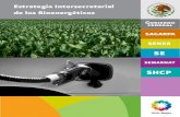 Estrategia Intersecretarial de los Bioenergéticos
