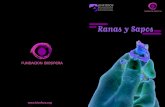 Revista Ranas y Sapos
