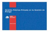 Gestión Público-Privada en la Gestión de Riesgo ONEMI Chile