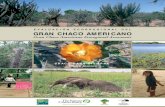 Evaluación Ecorregional del Gran Chaco Americano