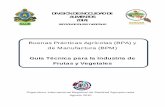 Buenas Prácticas Agrícolas (BPA) y de Manufactura (BPM) Guía ...
