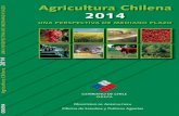 Agricultura Chilena 2014: Una perspectiva de mediano plazo
