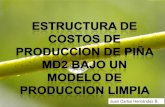 Estructura de costos de producción de piña MD2