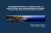 Gobernanza turística y gestión de microdestinos: el papel del Consorcio Isla Baja, Tenerife