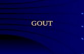 Gout Presentation