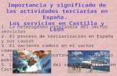 Tema14 el sector terciario en España