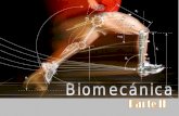 Biomecánica (parte 2)