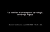 Col·lecció de microfotografies de citologia i histologia vegetal